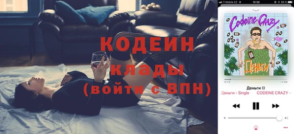 спиды Богородск