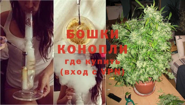 спайс Бородино
