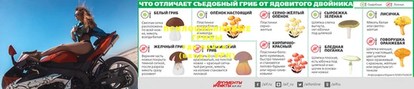прущие крисы Богородицк