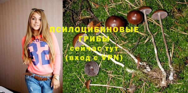 прущие крисы Богородицк