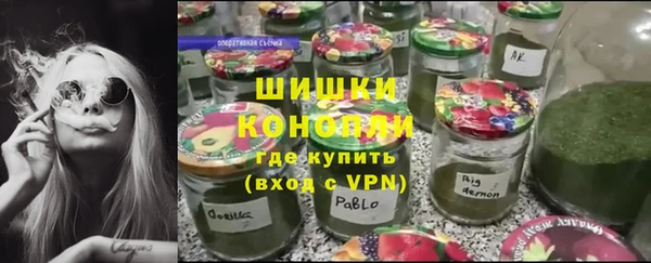 шишки Бронницы